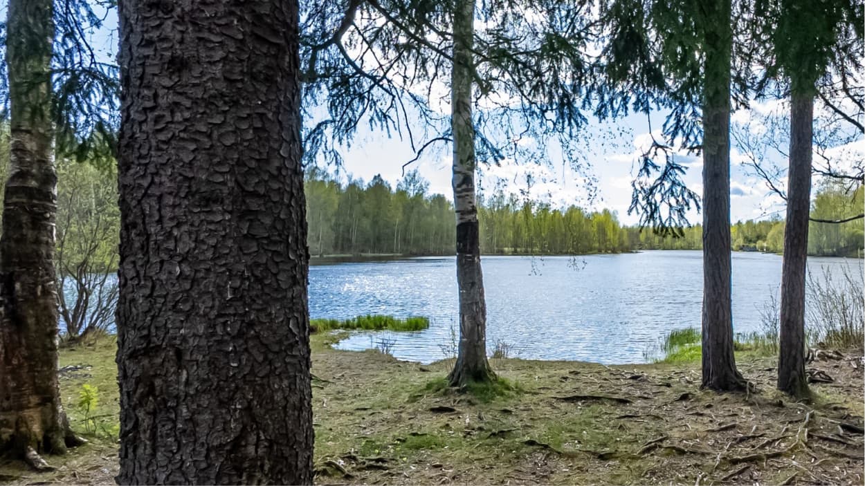 Локация Озеро — фотография 6